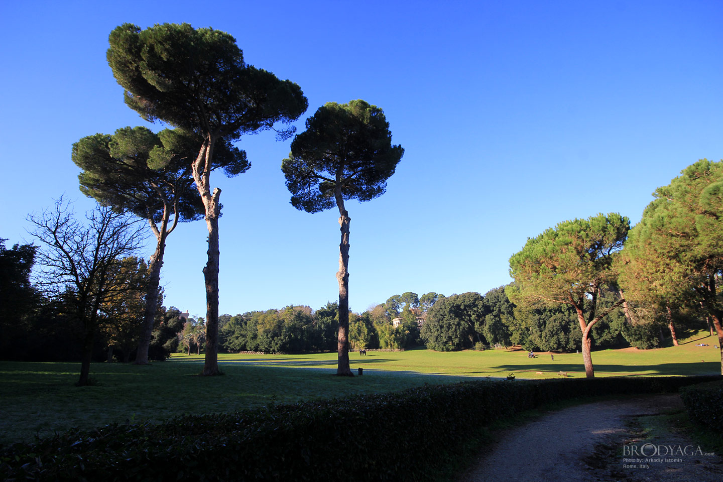 Villa Ada, Rome